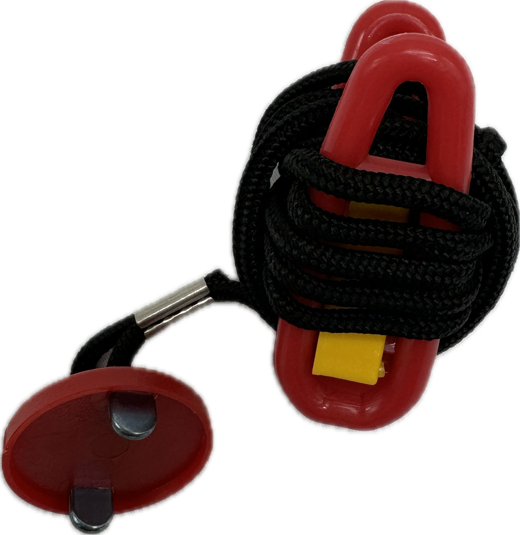 dogtrainer.zaki様アルマンドレッド dogtrainer.zaki様アルマンドレッド dogtrainer.zaki様アルマンド